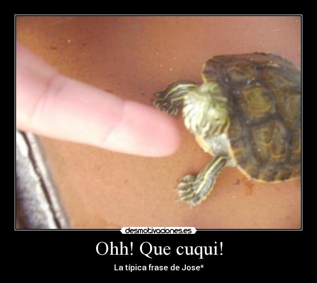 Ohh! Que cuqui! - 