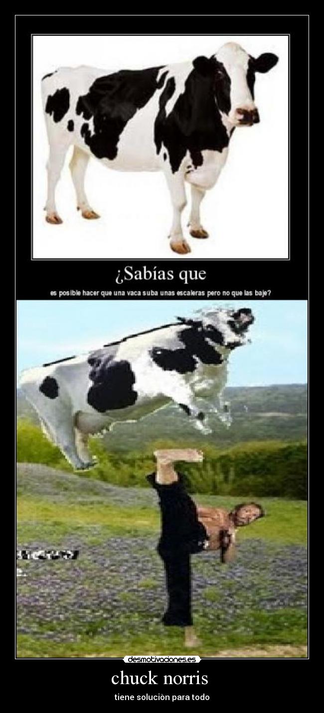 chuck norris - tiene soluciòn para todo