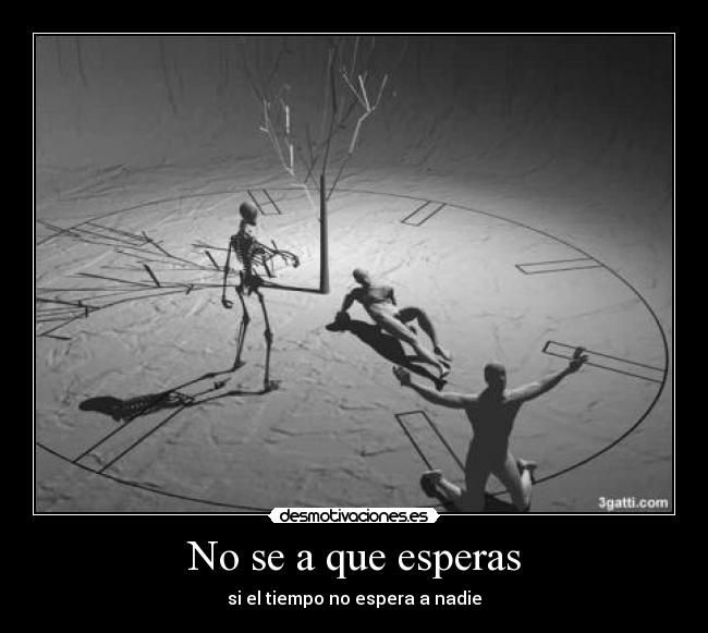 No se a que esperas - 