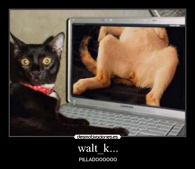 walt_k... -