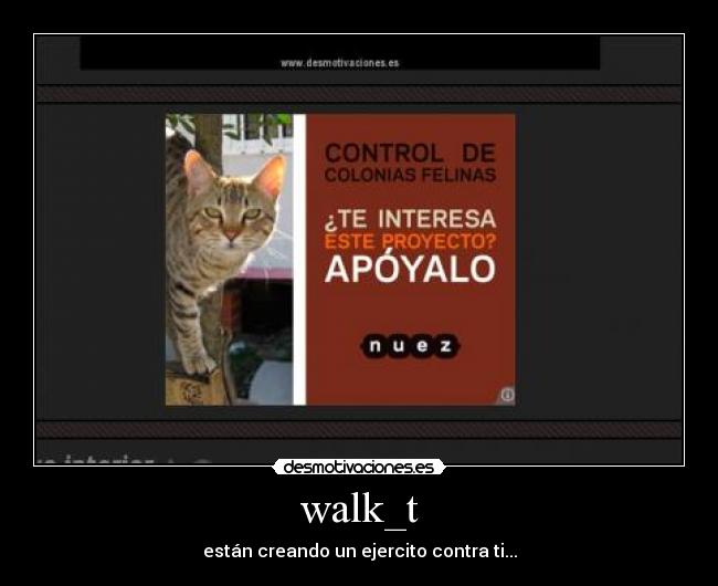 carteles walk_t ejercito gato crear desmotivaciones