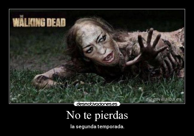 No te pierdas - la segunda temporada.