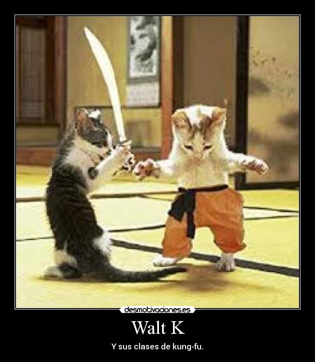 Walt K - Y sus clases de kung-fu.