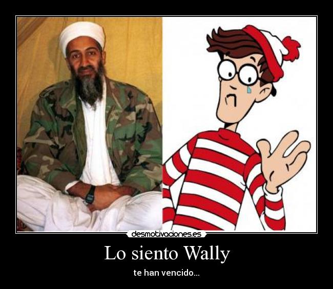 Lo siento Wally -