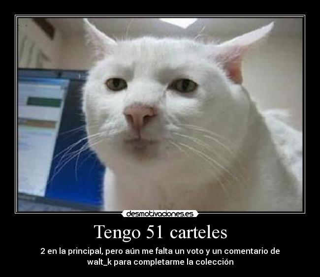 Tengo 51 carteles - 