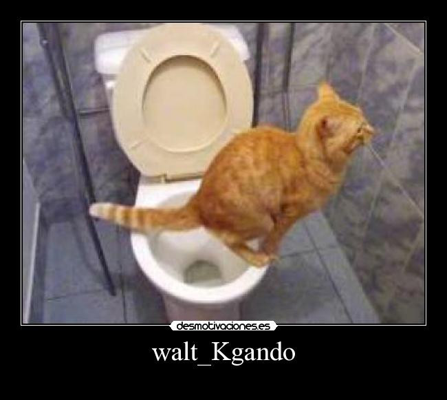 walt_Kgando -
