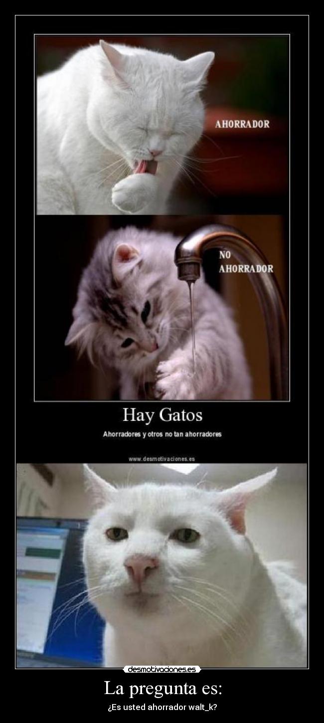 carteles preguntas desmotivaciones