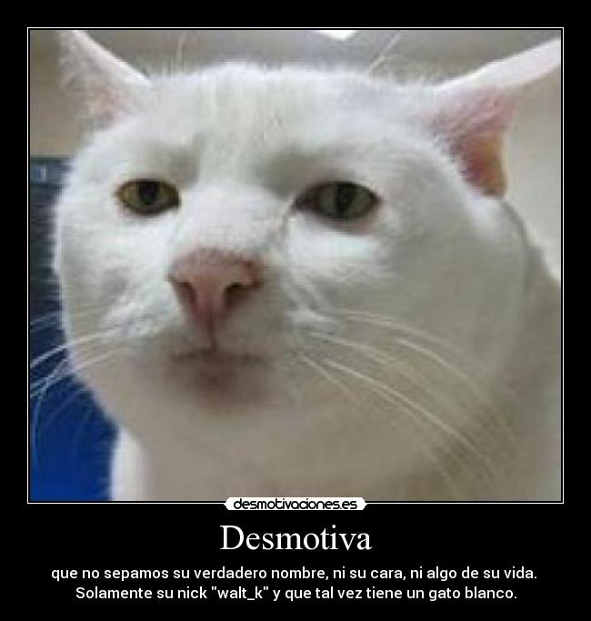 carteles desmotiva que sepamos nombre cara walt_k gatosblanco senor vida nick desmotivaciones