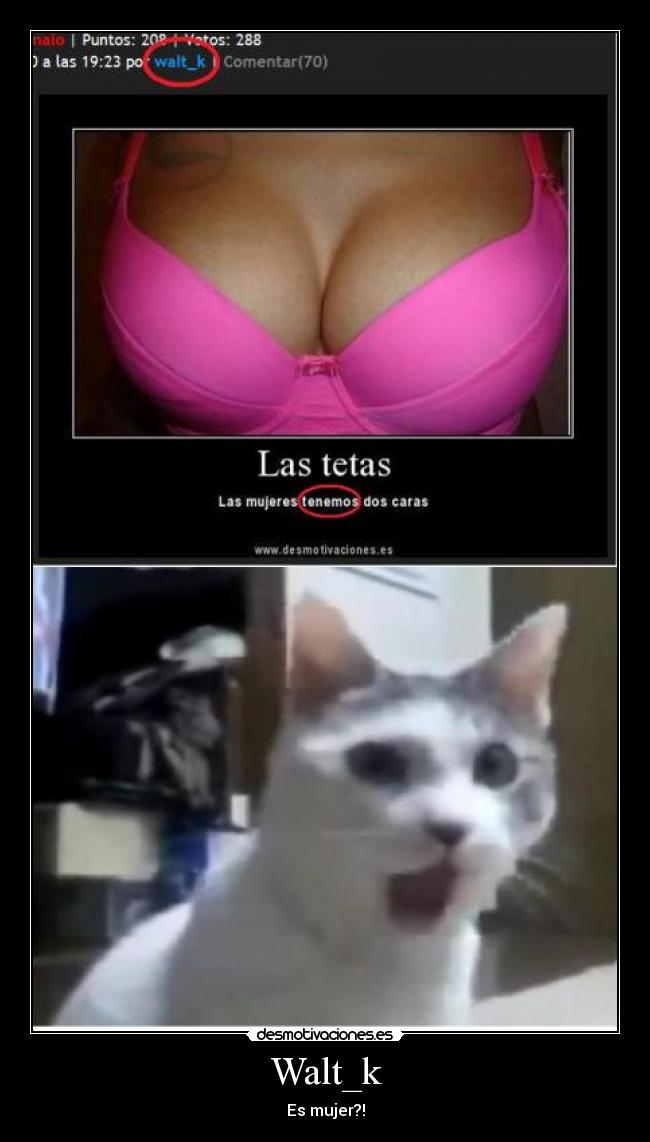Walt_k - Es mujer?!