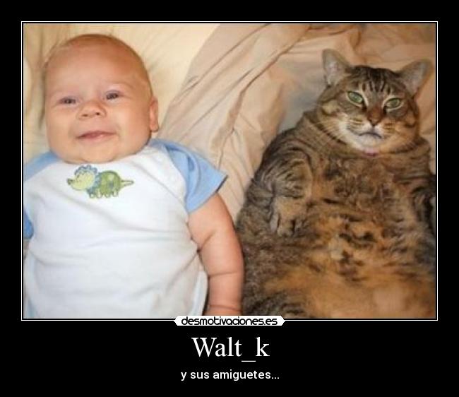 Walt_k - 