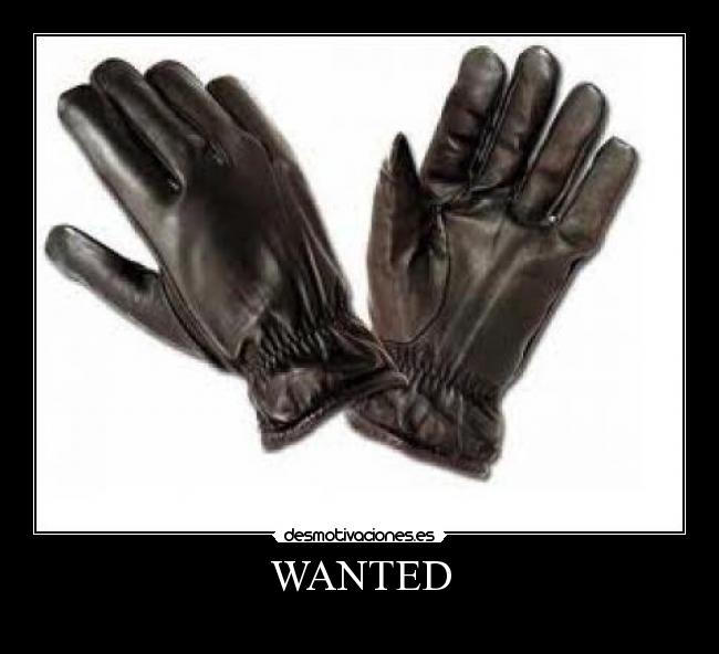 WANTED -                   