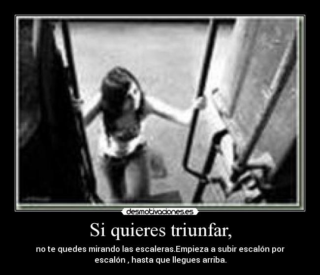 Si quieres triunfar, -