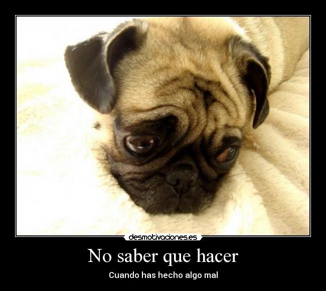 No saber que hacer - 
