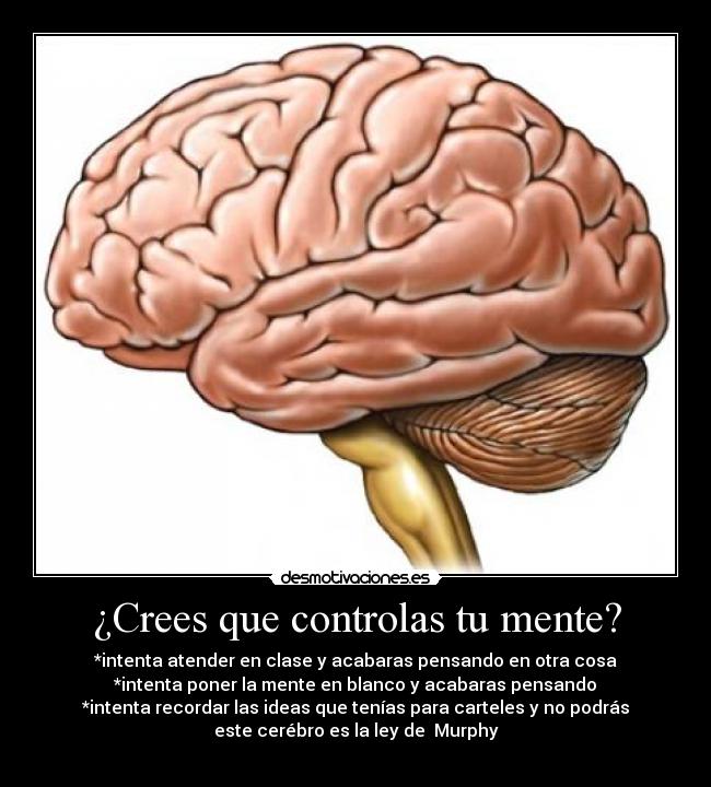 ¿Crees que controlas tu mente? - *intenta atender en clase y acabaras pensando en otra cosa
*intenta poner la mente en blanco y acabaras pensando
*intenta recordar las ideas que tenías para carteles y no podrás
este cerébro es la ley de Murphy