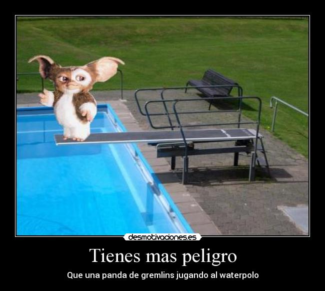 Tienes mas peligro - Que una panda de gremlins jugando al waterpolo