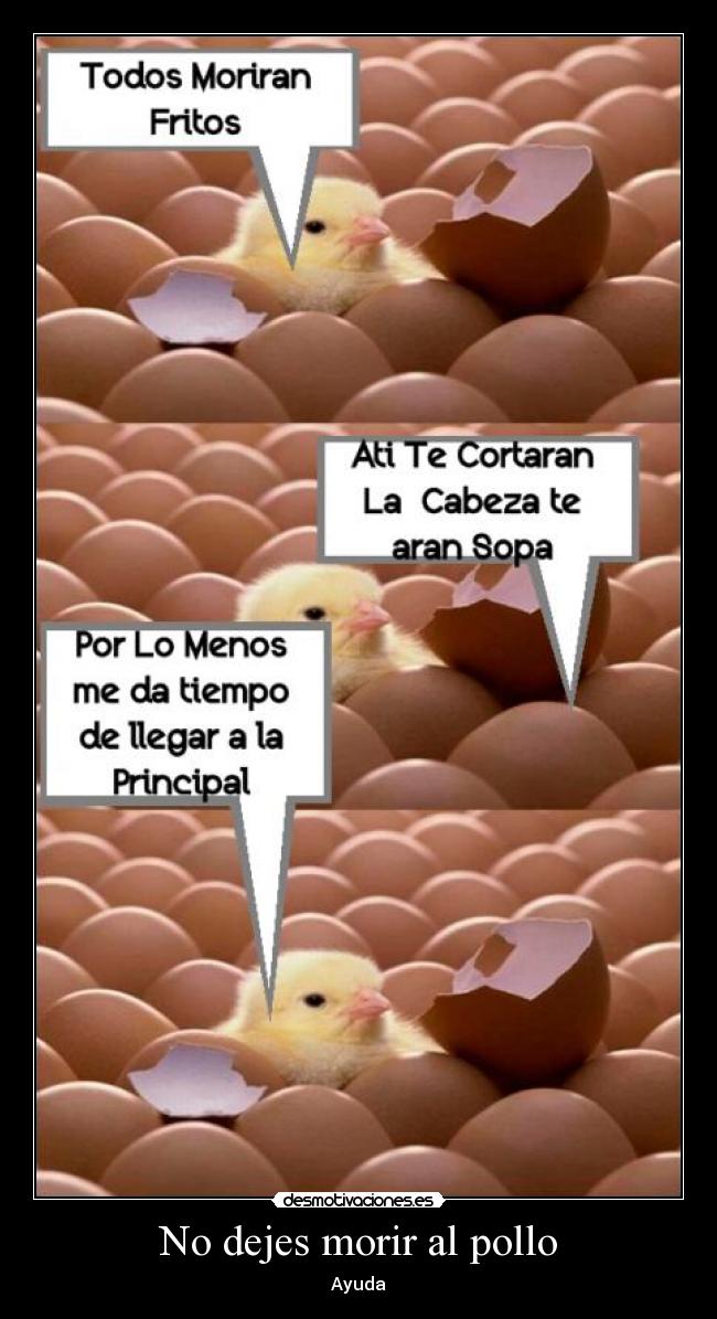 No dejes morir al pollo - 