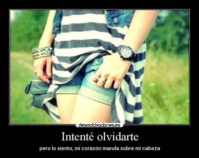 Intenté olvidarte -