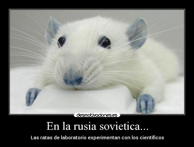 En la rusia sovietica... -