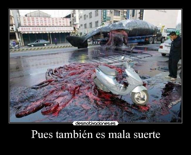 Pues también es mala suerte -