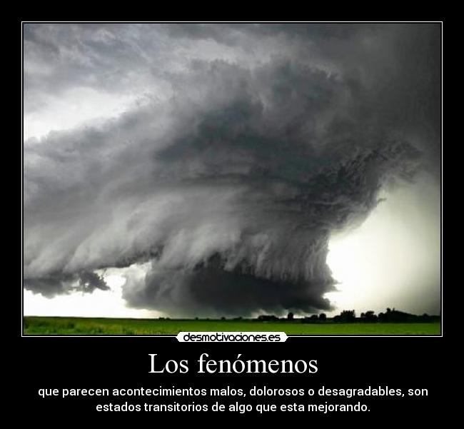 Los fenómenos - 
