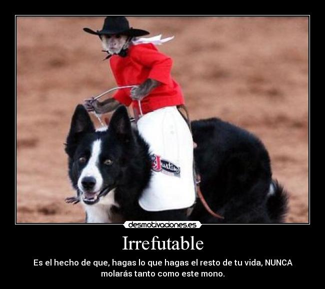 Irrefutable - Es el hecho de que, hagas lo que hagas el resto de tu vida, NUNCA
molarás tanto como este mono.