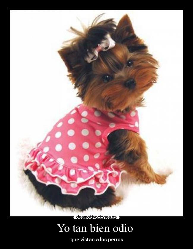 Yo tan bien odio  - 