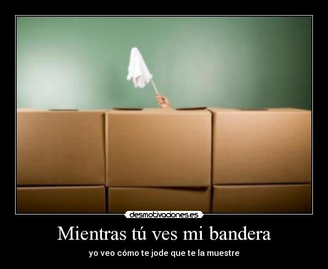 Mientras tú ves mi bandera -