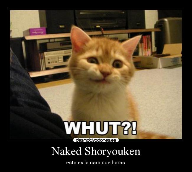 Naked Shoryouken Desmotivaciones