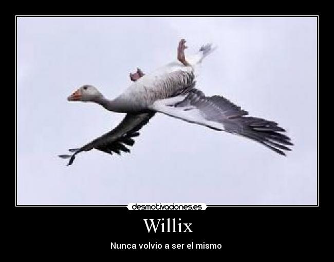Willix - 
