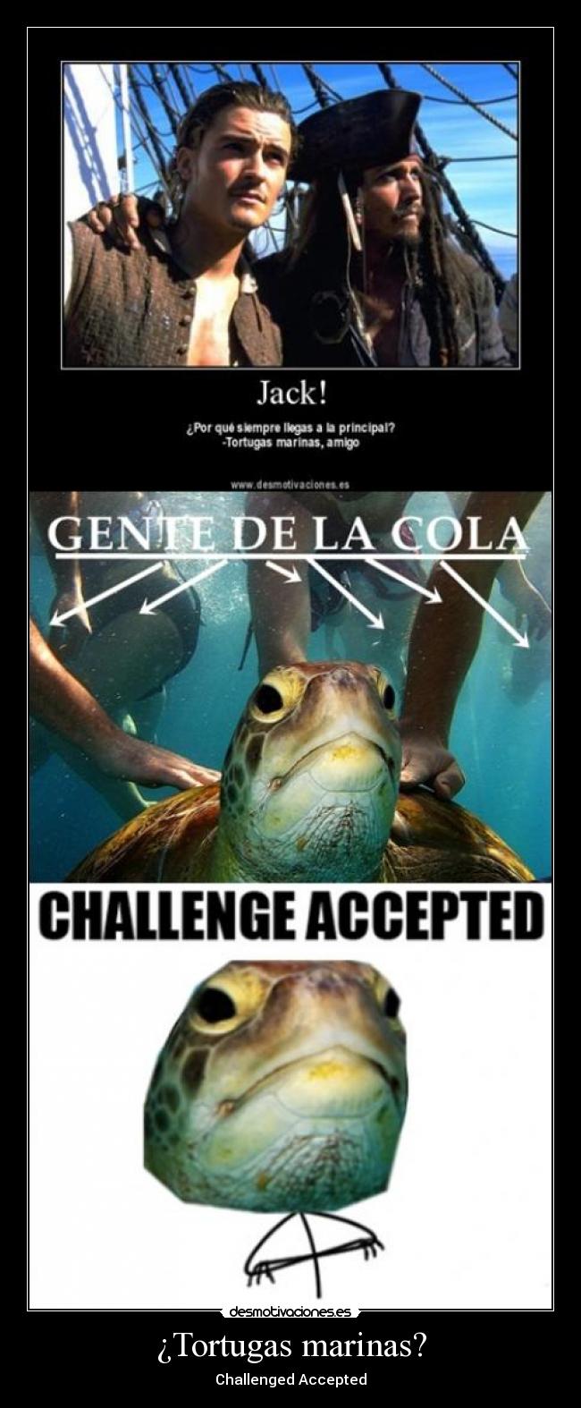 ¿Tortugas marinas? - Challenged Accepted