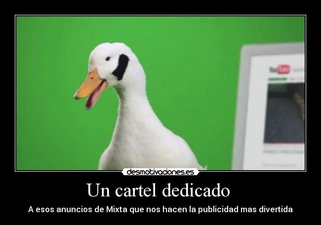 Un cartel dedicado  - 