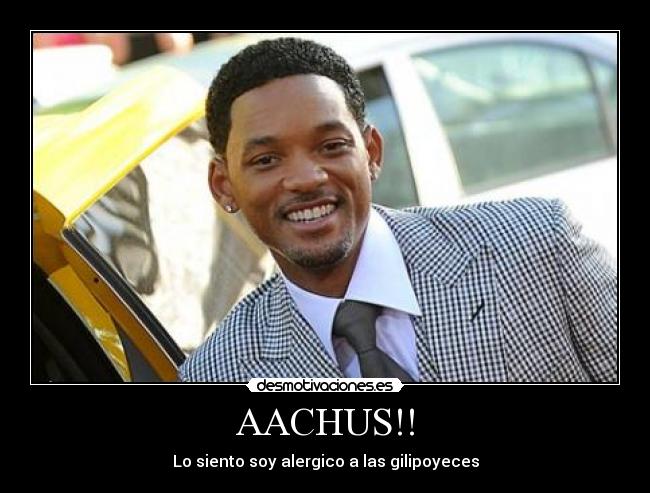 AACHUS!! - 
