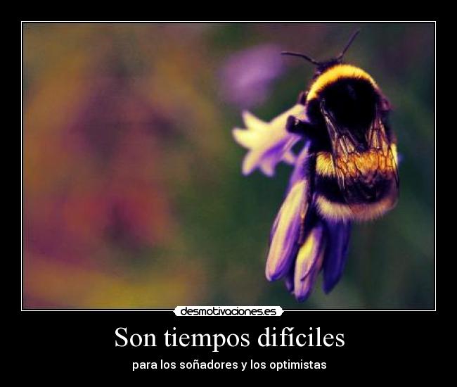 carteles tiempos dificiles sonadores optimistas abeja amelie desmotivaciones