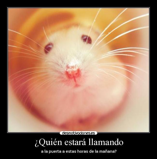 ¿Quién estará llamando - a la puerta a estas horas de la mañana?