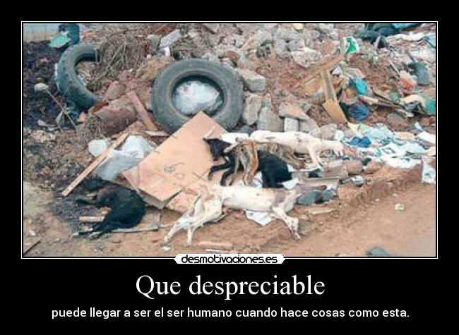 Que despreciable - 