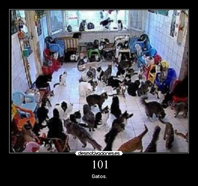 carteles thrasherman desmotivaciones