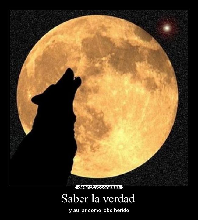 Saber la verdad - y aullar como lobo herido