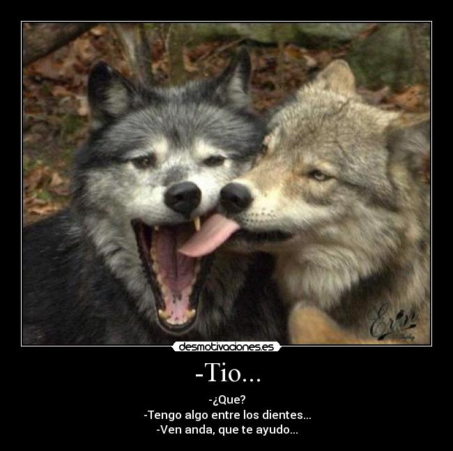 -Tio... - -¿Que?
-Tengo algo entre los dientes...
-Ven anda, que te ayudo...