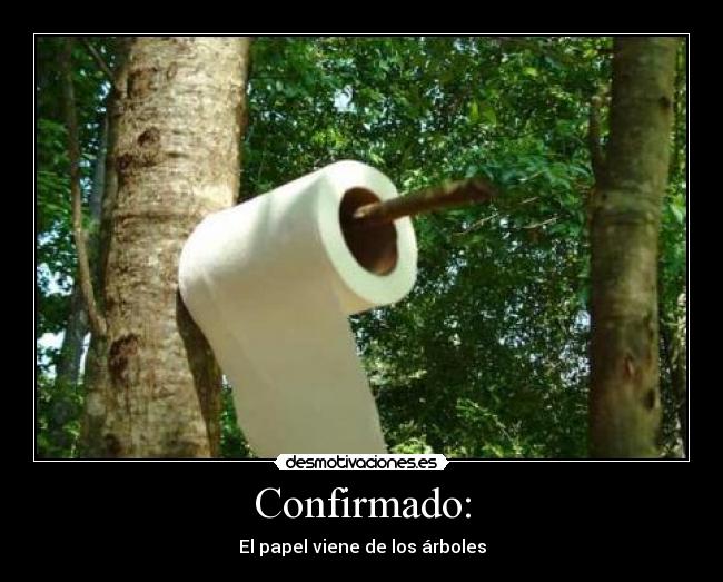 Confirmado: - 