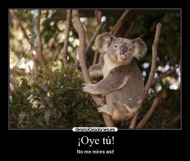 ¡Oye tú! - No me mires así!