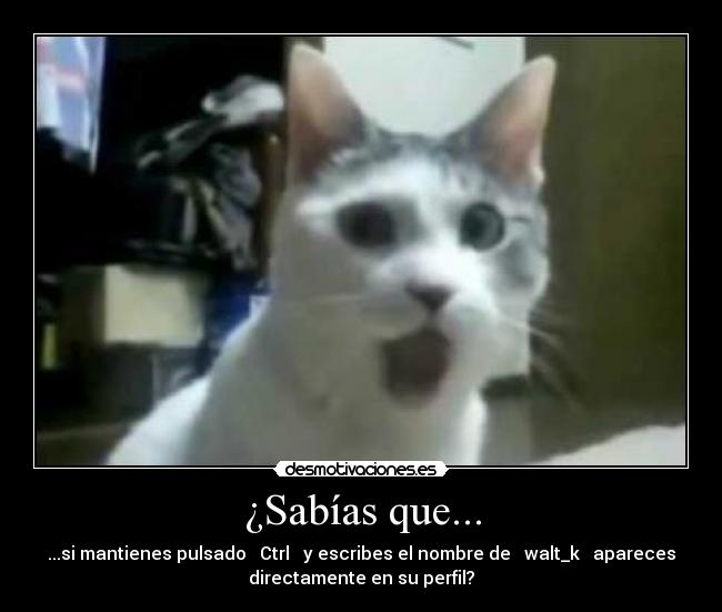 ¿Sabías que... - ...si mantienes pulsado   Ctrl   y escribes el nombre de   walt_k   apareces
directamente en su perfil?