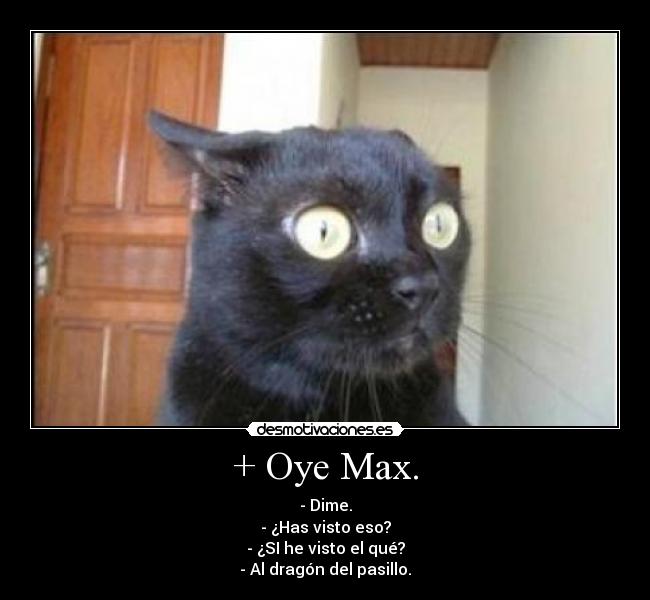 + Oye Max. - - Dime.
- ¿Has visto eso?
- ¿SI he visto el qué?
- Al dragón del pasillo.
