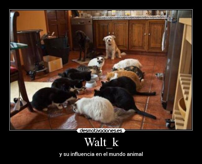Walt_k - y su influencia en el mundo animal