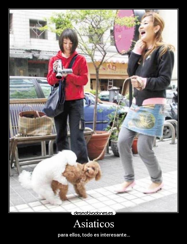 Asiaticos - para ellos, todo es interesante...