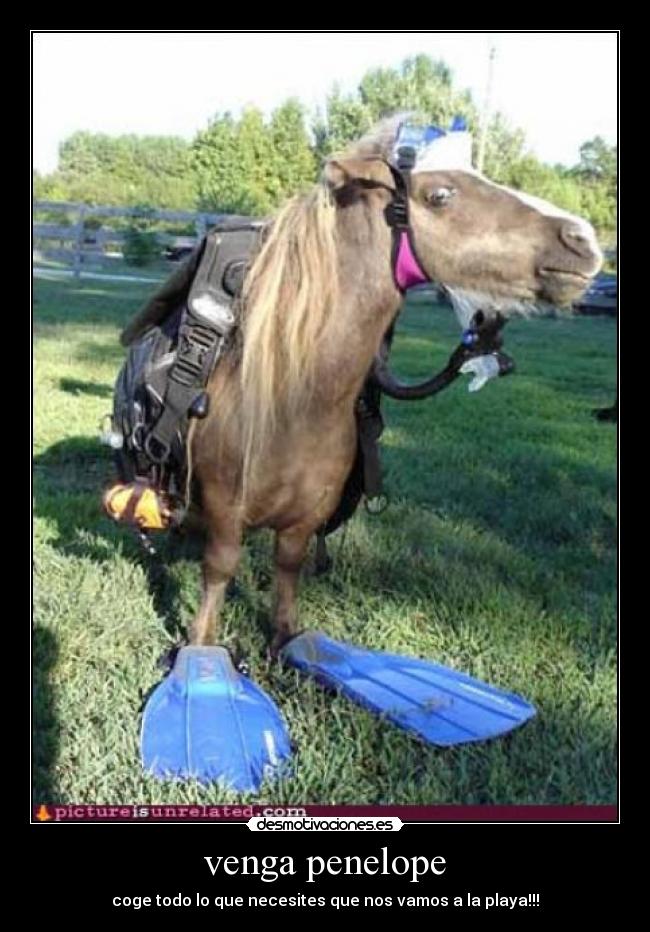 venga penelope - coge todo lo que necesites que nos vamos a la playa!!!