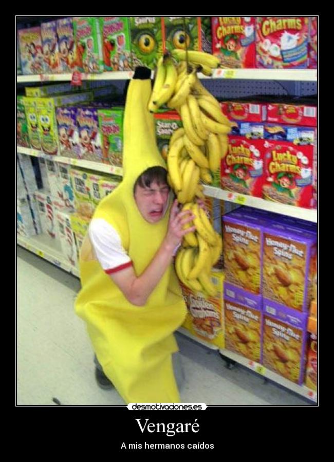 Vengaré - A mis hermanos caídos