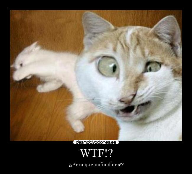WTF!? - ¿¡Pero que coño dices!?