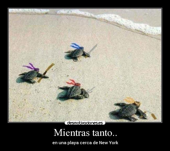 carteles new york tortugas ninjas playa desmotivaciones