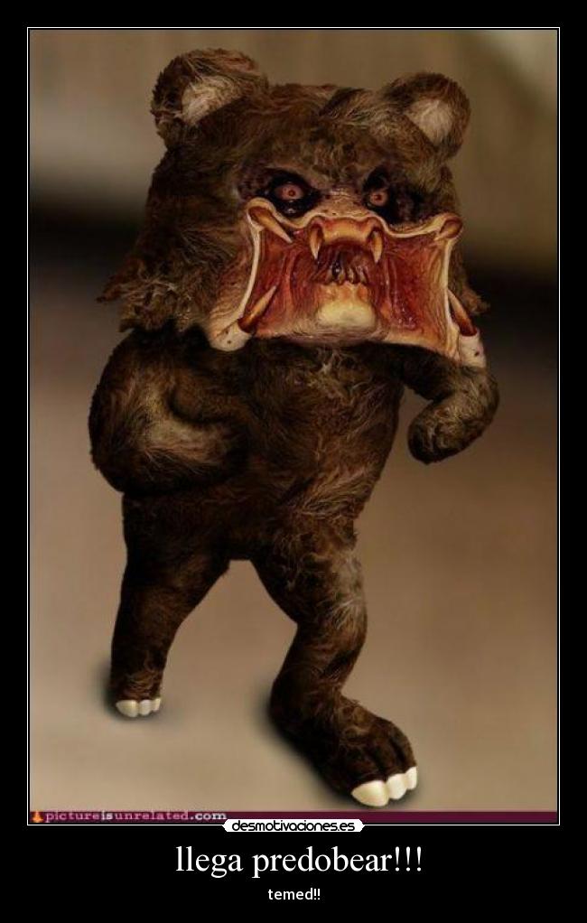  llega predobear!!! - temed!!