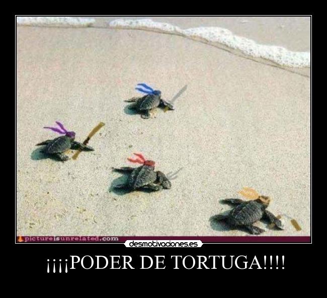 carteles totuga ninja desmotivaciones